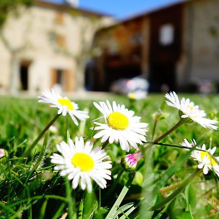 La Ferme Des Denis Chambres Dhotes Chanos-Curson Exterior foto